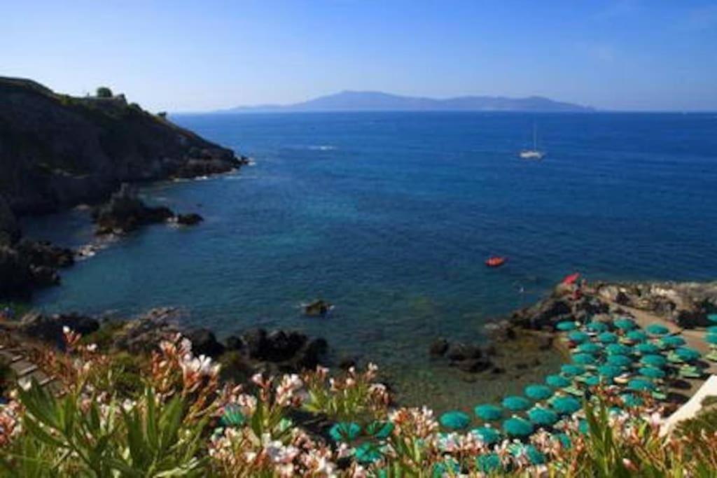 Near The Sea Big Panoramic House 2 Terraces In Lovely Village Montiano  Exterior foto